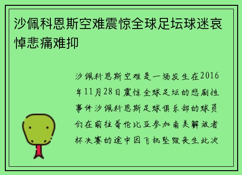沙佩科恩斯空难震惊全球足坛球迷哀悼悲痛难抑 沙佩科恩斯空难震惊全球足坛球迷哀悼悲痛难抑